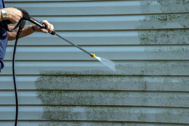 Best Residential Pressure Washing Services  in Town And Country, MO